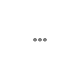 Bản lề 01